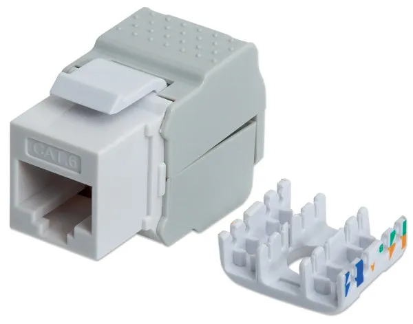 Modul RJ45 Intellinet 167062 Cat6/tool-less/568B 2-1/beli - It Market